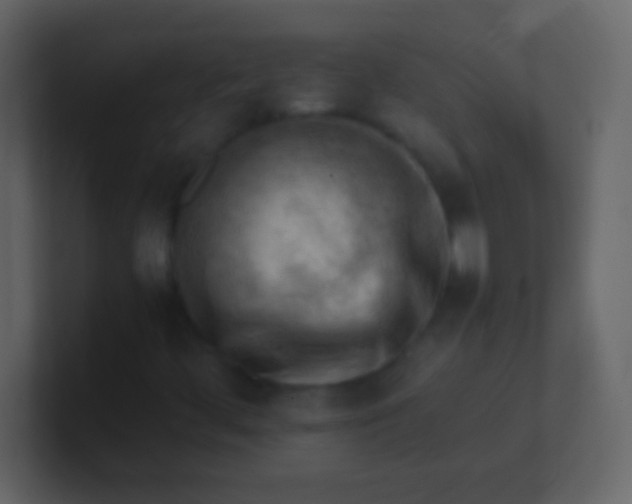 X0000100931444200807081202