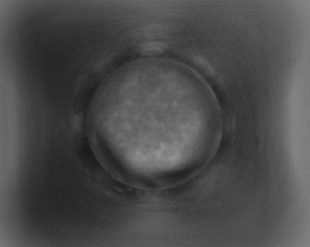 X0000100931445200807081202