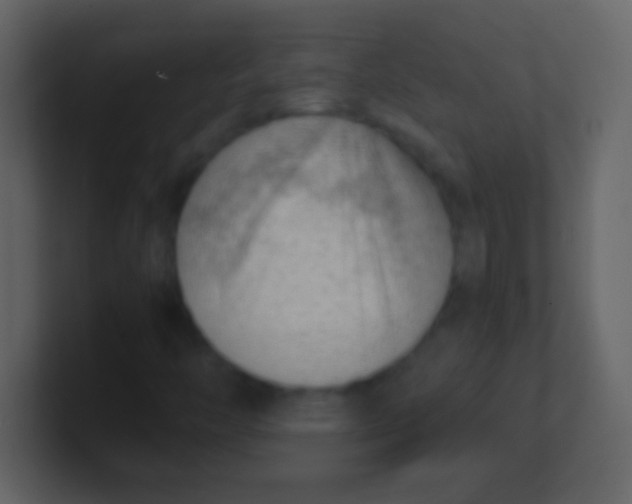 X0000100931446200807081202