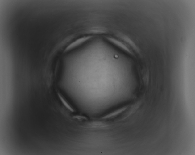 X0000100931448200807081202