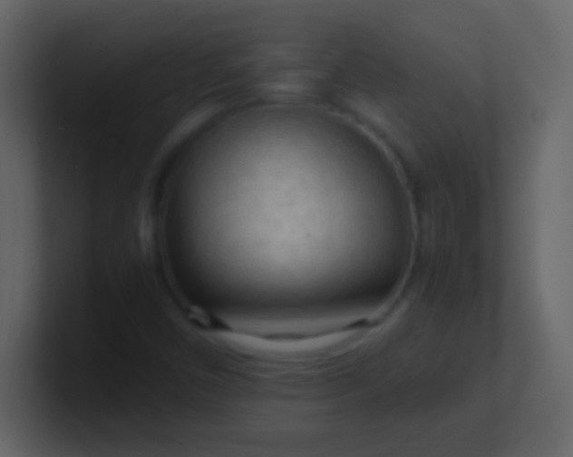 X0000100931450200807081202