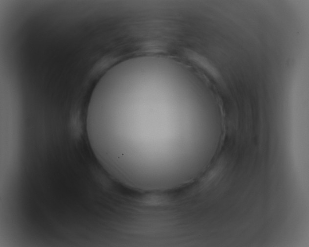 X0000100931451200807081202