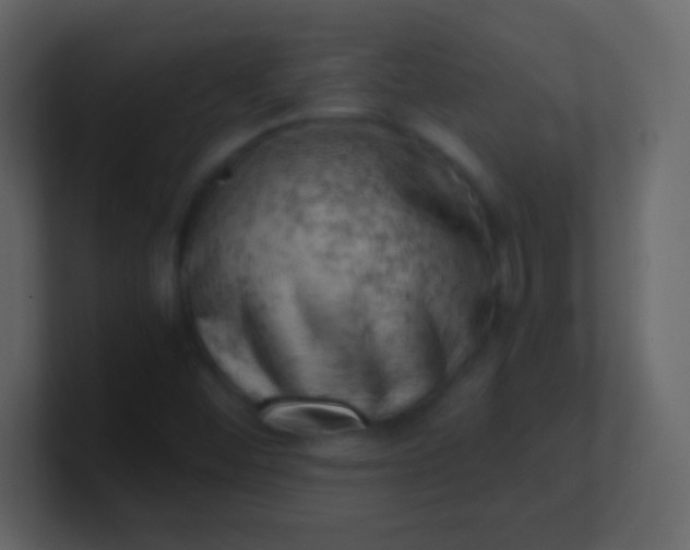 X0000100931452200807081202