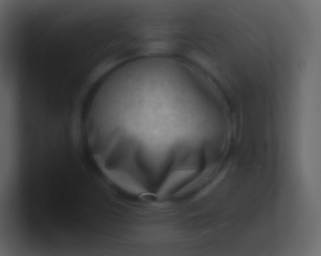 X0000100931453200807081202