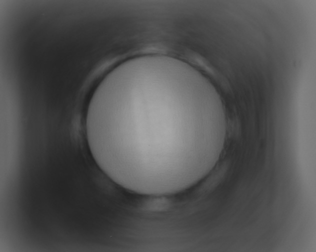 X0000100931454200807081202