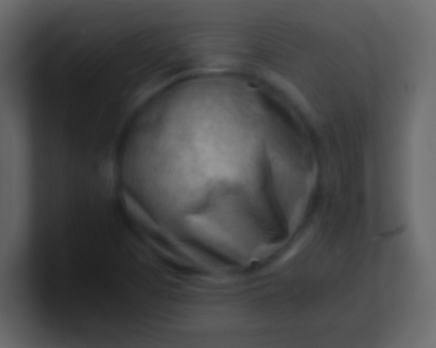 X0000100931457200807081202