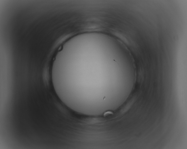 X0000100931458200807081202