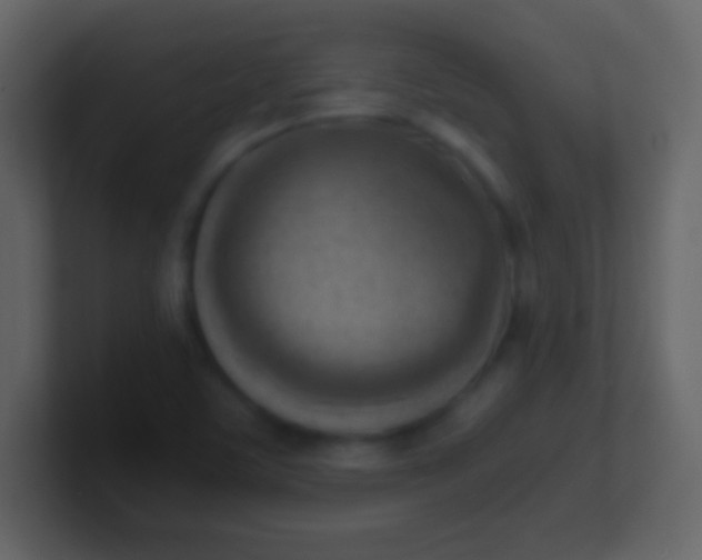 X0000100931459200807081202