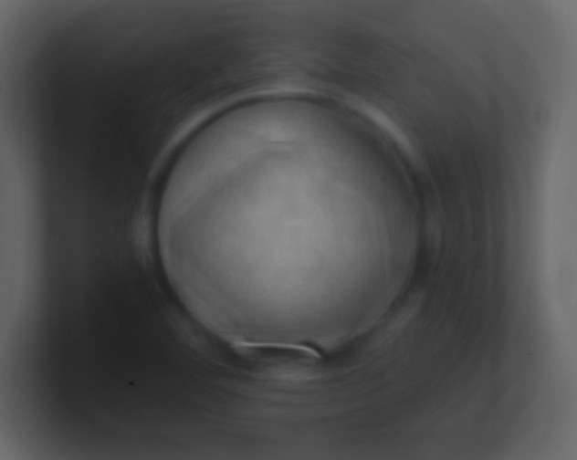 X0000100931460200807081202