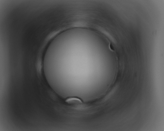 X0000100931461200807081202