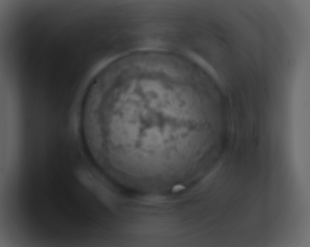 X0000100931463200807081202