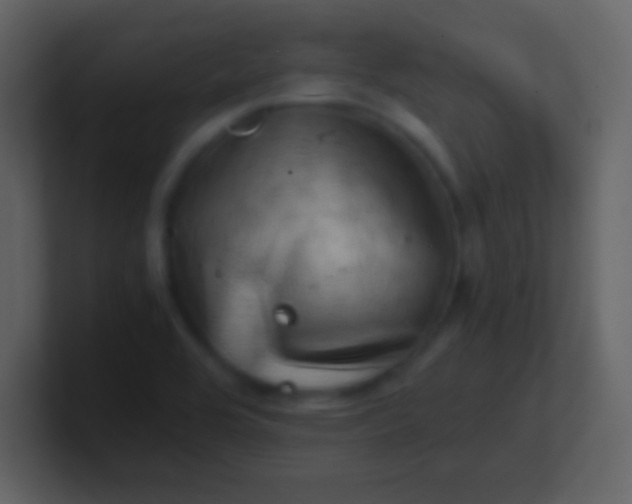 X0000100931464200807081202