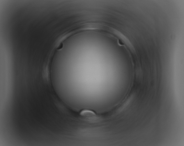 X0000100931465200807081202