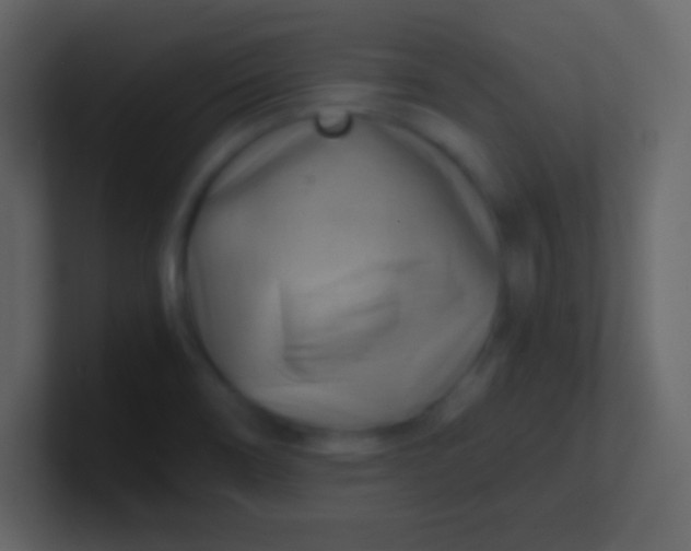 X0000100931466200807081202