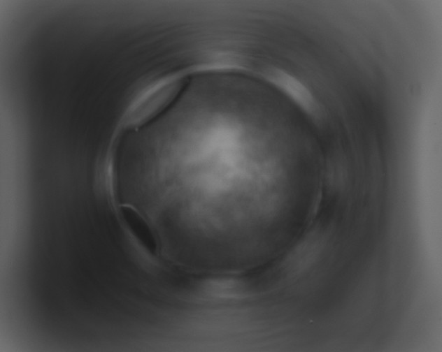 X0000100931468200807081202