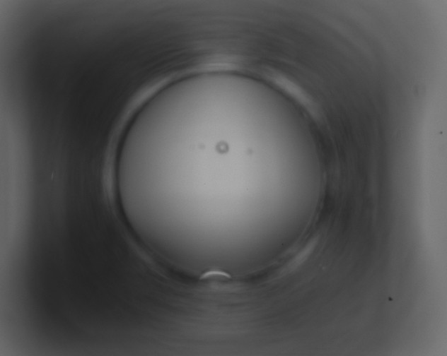 X0000100931469200807081202