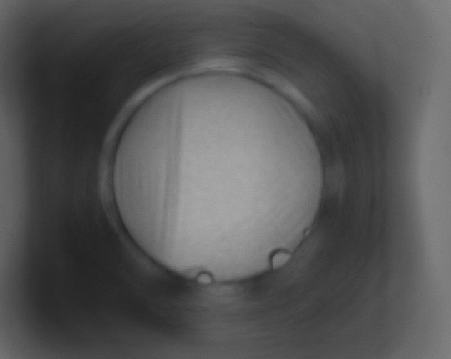 X0000100931470200807081202