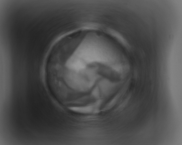 X0000100931471200807081202