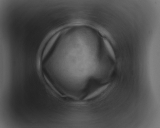 X0000100931472200807081202