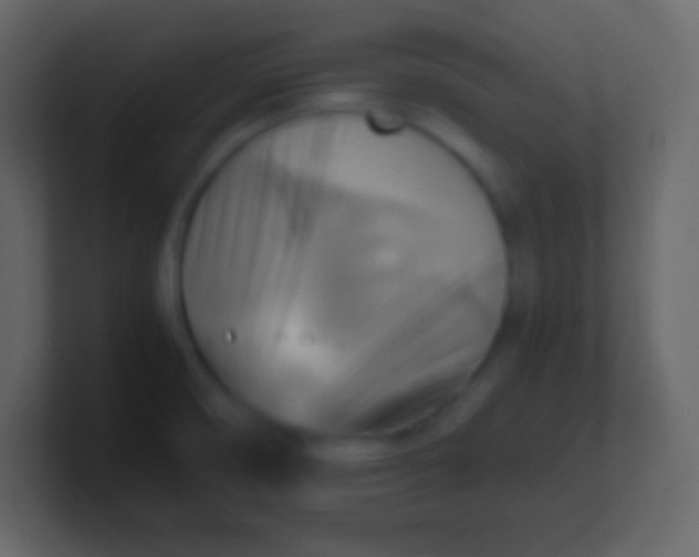 X0000100931474200807081202