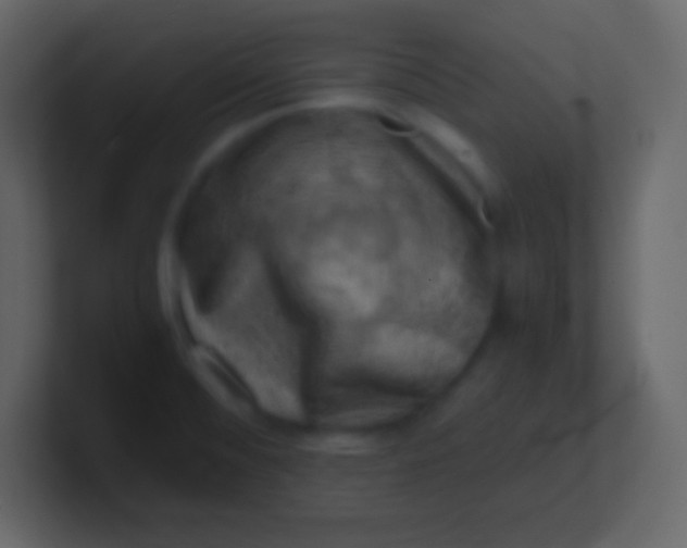 X0000100931476200807081202