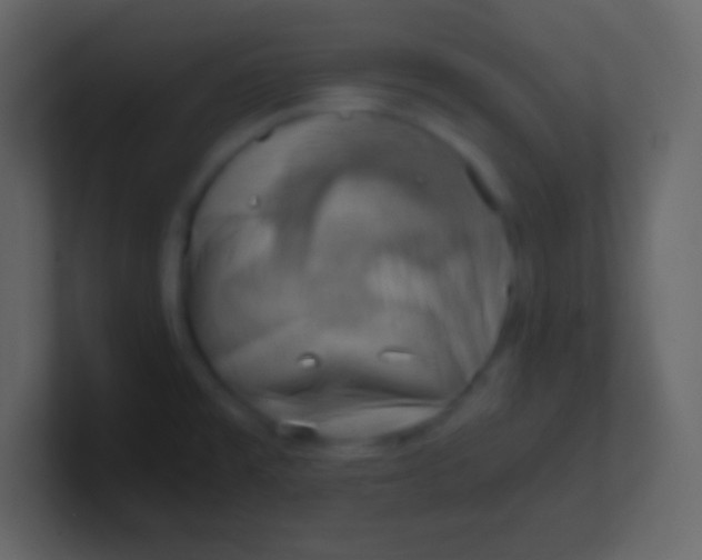 X0000100931477200807081202