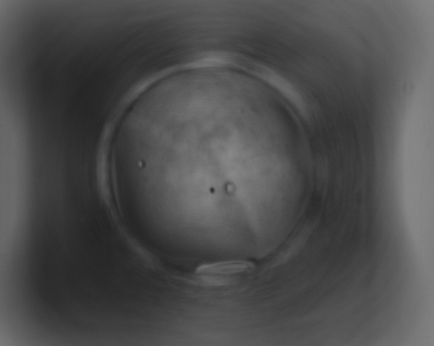 X0000100931480200807081202