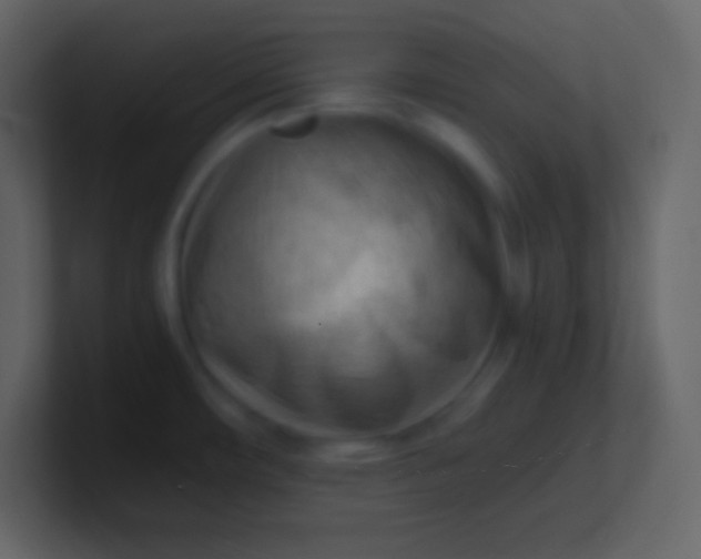 X0000100931482200807081202