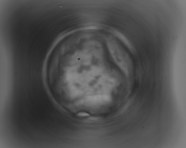 X0000100931483200807081202