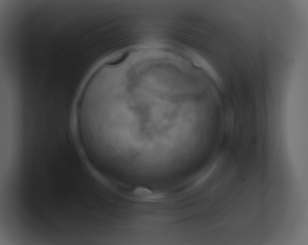 X0000100931484200807081202