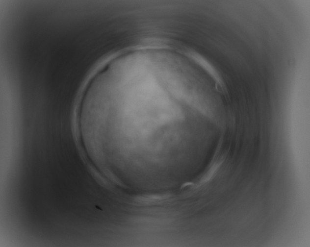 X0000100931485200807081202