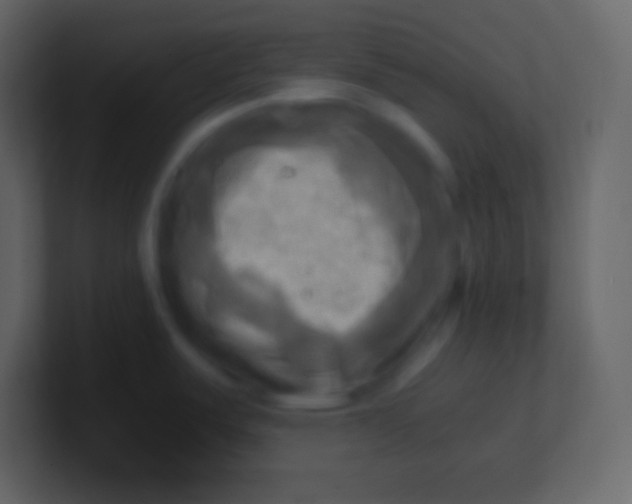 X0000100931487200807081202