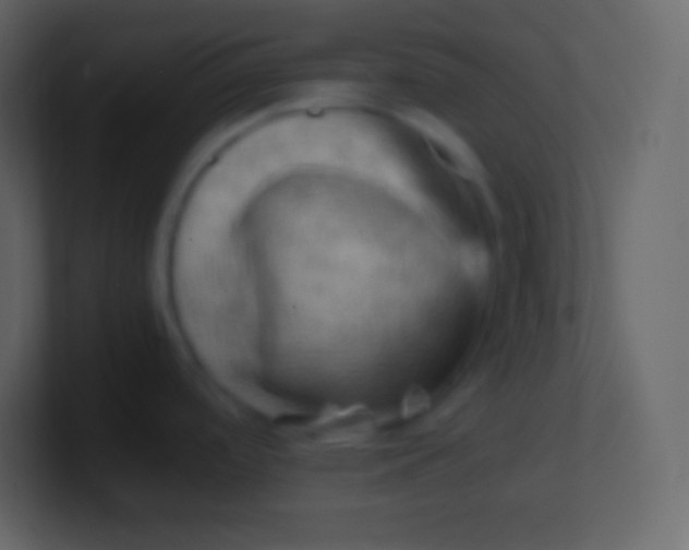 X0000100931488200807081202