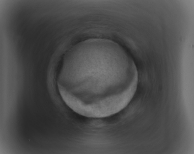 X0000100931489200807081201