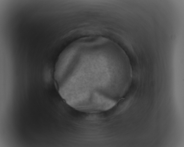 X0000100931490200807081201