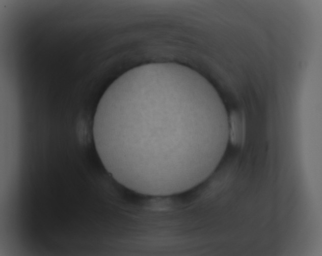 X0000100931491200807081201