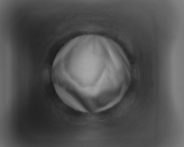 X0000100931493200807081201