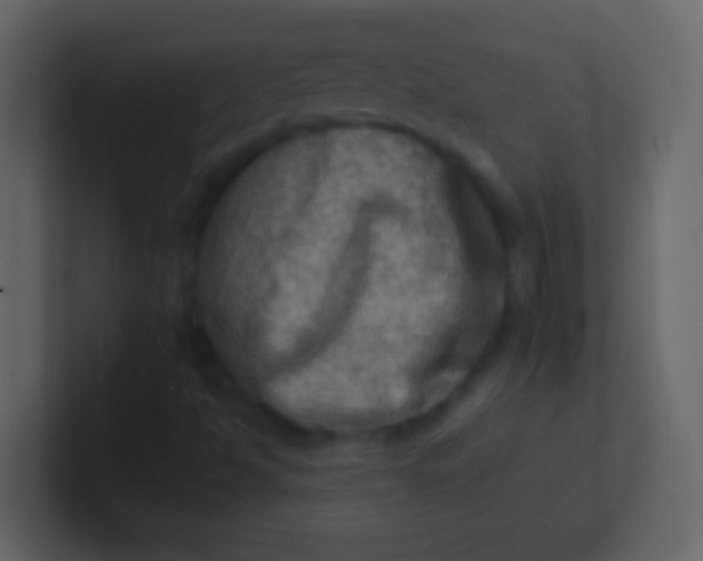 X0000100931494200807081201