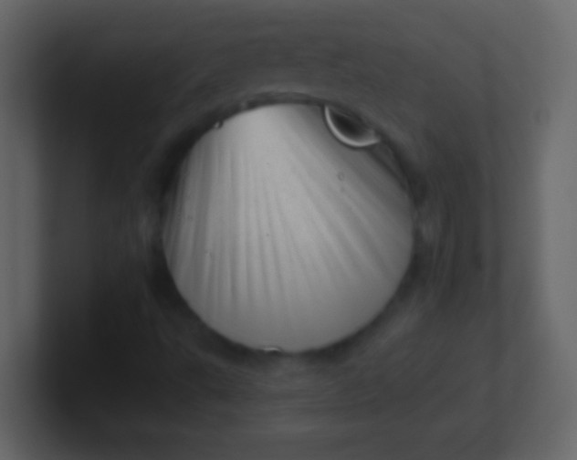 X0000100931495200807081201