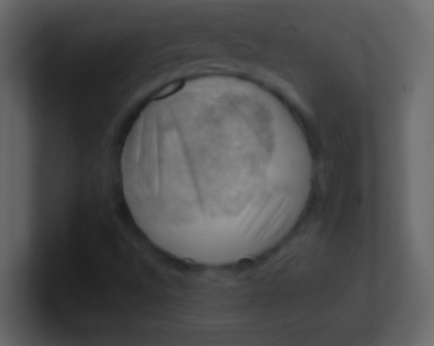 X0000100931496200807081201