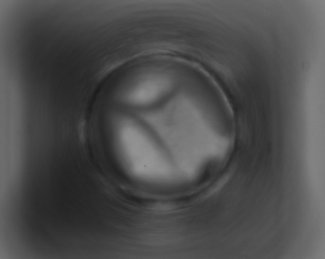 X0000100931497200807081201