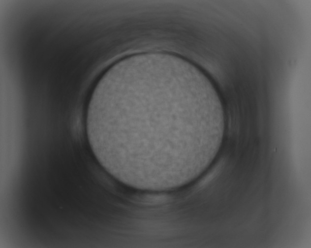 X0000100931498200807081201