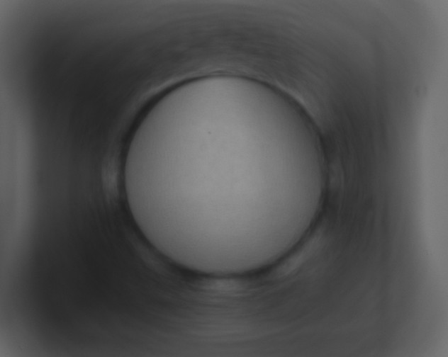 X0000100931499200807081201