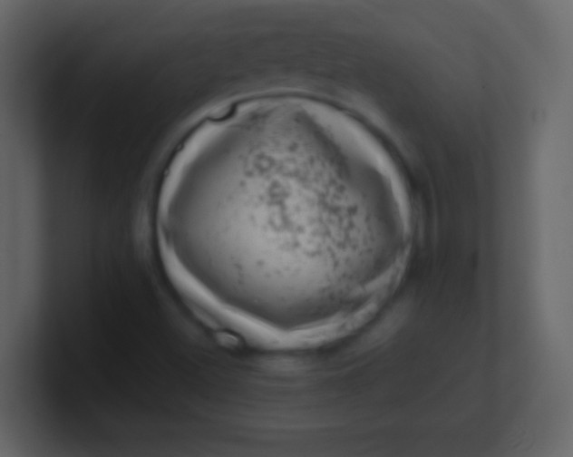 X0000100931500200807081201