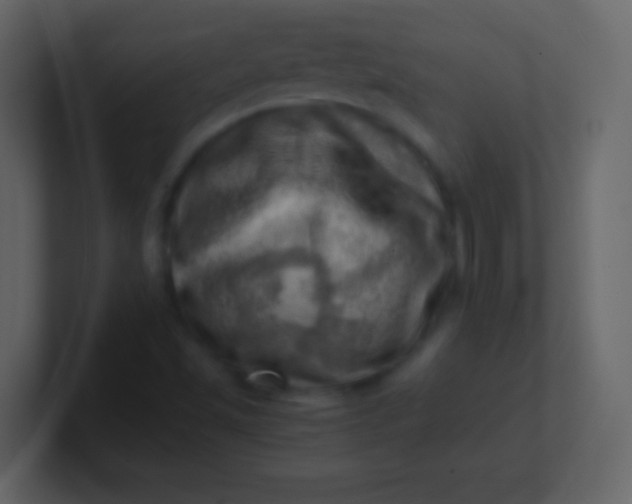 X0000100931501200807081201