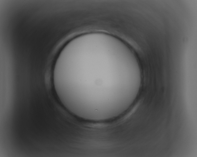 X0000100931502200807081201