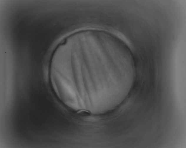 X0000100931504200807081201