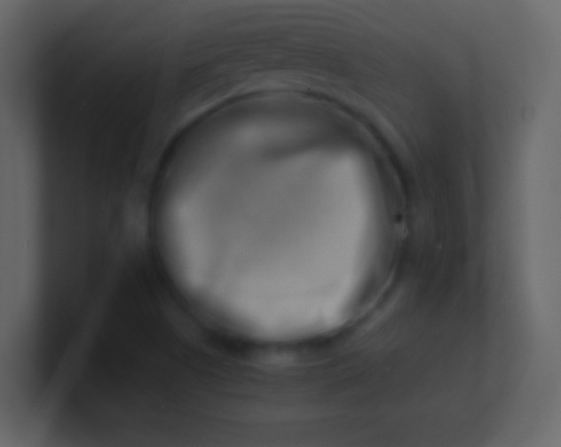 X0000100931505200807081201