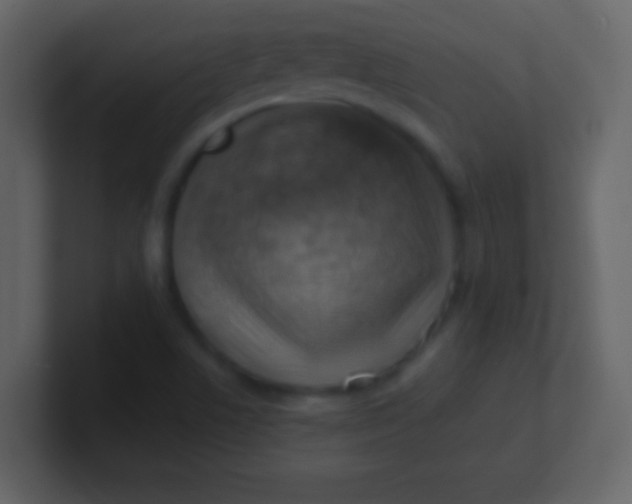 X0000100931506200807081201