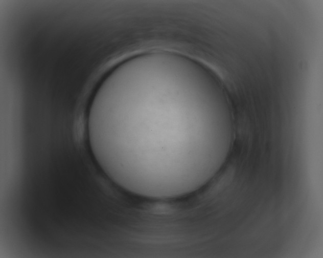 X0000100931507200807081201